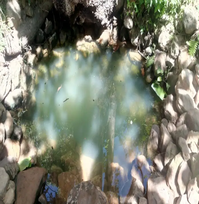 Danduba Fulto /Danduba Spring/