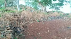 Dere Dulata (People’s Council)