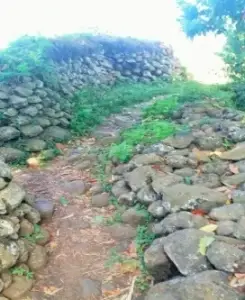 Eight different service areas