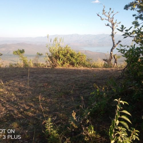 Gaata Dubusha / Sacrifice Place